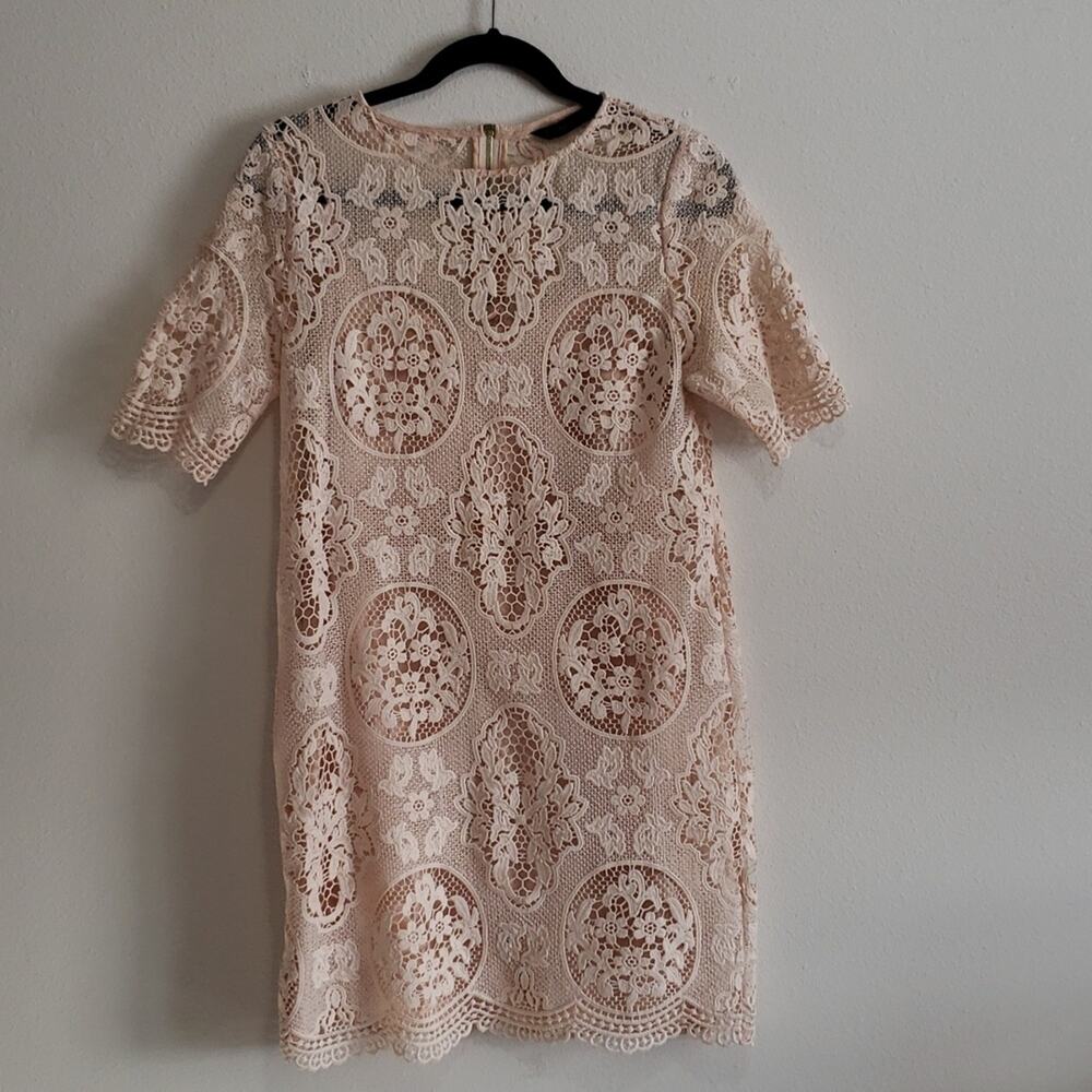 Zara Lace Short Sleeve Dress Size Small